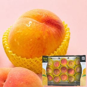 장호원 햇사레 복숭아 황도 3kg 대과 8-10과