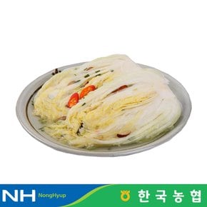 한국농협 마이산김치 국내산 백김치 7kg