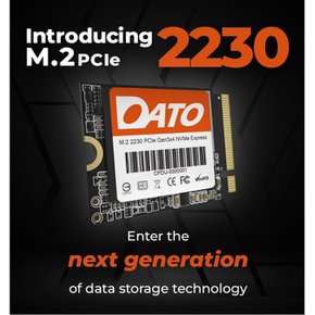 DATO(Dat) SSD DP330 M.2 2230 PCIe Gen3 x 4 NVMe 2TB 17001400 MBs) 내장 내장 솔리드