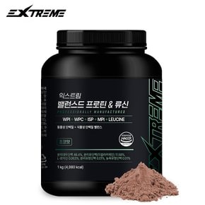 밸런스드 프로틴&류신 1kg / 5통 (125일분)