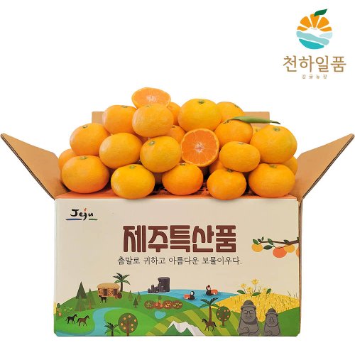상품이미지1