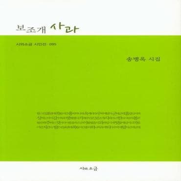 웅진북센 보조개 사과 - 95 (시와소금 시인선)