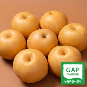 [24년 햇배][유명산지][GAP인증]나주배 가정용 특품 5kg 5-10과