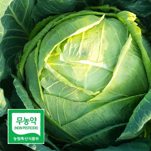 상품 이미지 3