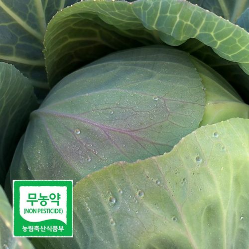 상품 이미지 4