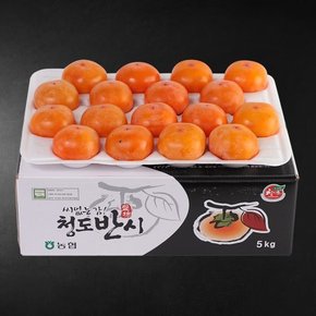 씨없는 청도반시5kg(중과/35과내)