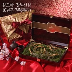 [삼모아] 장뇌산삼(산양산삼) 10년근 7뿌리(만수무강세트)/고가구케이스+실크보자기포장