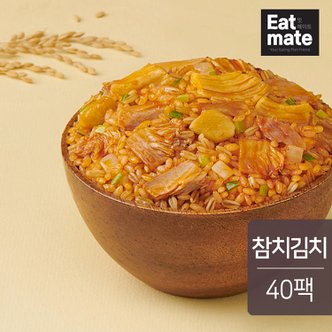 잇메이트 닭가슴살 몬스터 귀리볶음밥 참치김치 250g 40팩