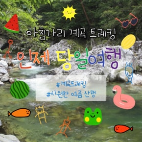 [당일여행] 강원도 인제 여름 계곡 트레킹 여름 여행 시원한 계곡 황금나무와 여행친구들
