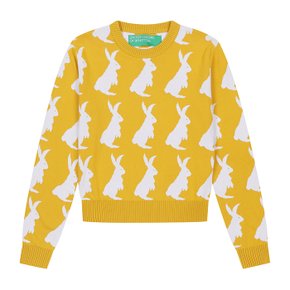 Color rabbit sweater_1198E106H0D6