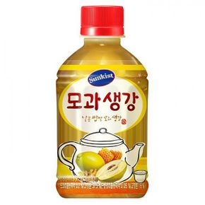 모과생강 280mlx24펫