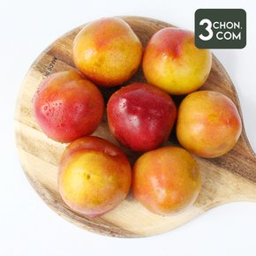 [산지직송]  새콤달달 하우스 햇 자두(특) 1.5kg