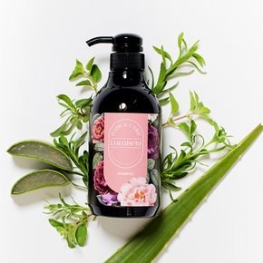 약산성 두피케어 샴푸 300ml·500ml 자연유래 저자극