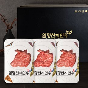 1+ 정육선물세트 11호 불고기/국거리 1.2kg