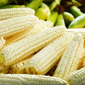 [맛꾼] 쫀득쫀득 쪄서가는 간편 냉동 백찰옥수수 10개입(특대)