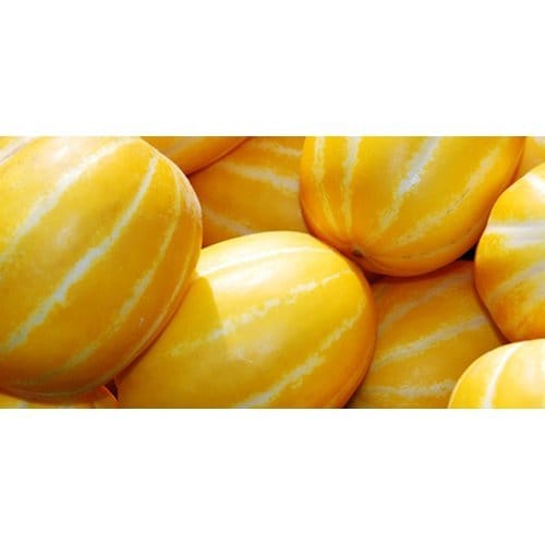 상품이미지8