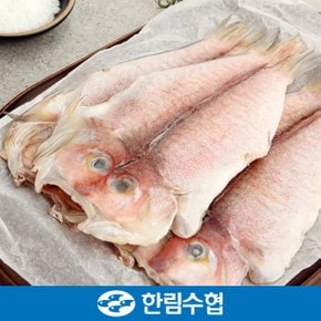 [명절 후 배송] [제주 한림수협] 제주직송 제주 특大 옥돔 6마리 세트 (옥돔 380g x 6팩)