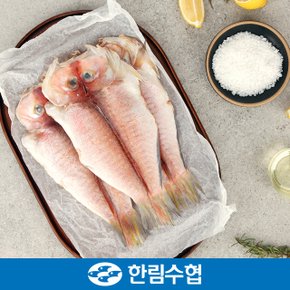 [명절 후 배송] [제주 한림수협] 제주직송 제주 특大 옥돔 6마리 세트 (옥돔 380g x 6팩)