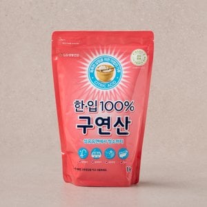  한.입 100% 구연산 1KG