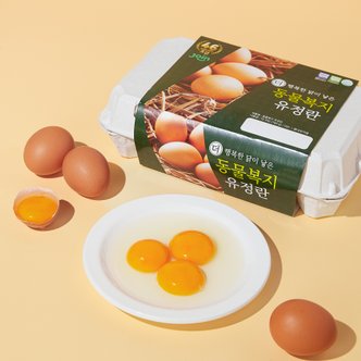  30구 단위 구매가능 - [2번사육] 1등급 동물복지 유정란(대란) 15구