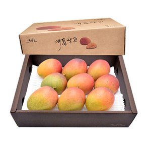 제주 애플망고(대) 3kg(9~10과)