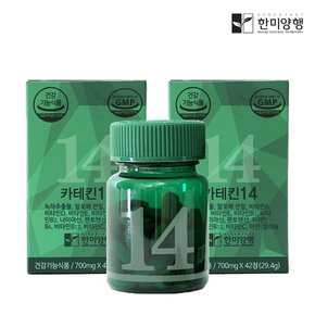 카테킨14 녹차추출물 다이어트보조제 700mg 2박스