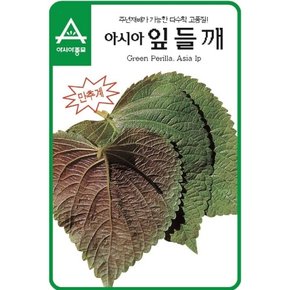 들깨씨앗종자 아시아잎들깨 (500g)