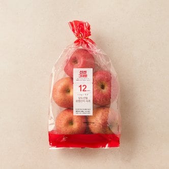  [당도선별] 유명산지 사과 1.3kg (봉)