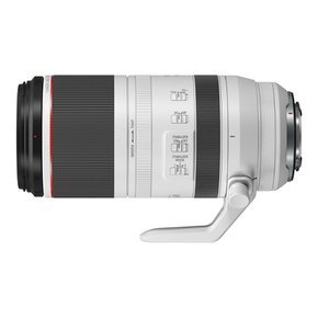 캐논공식총판 RF 100-500mm F4.5-7.1 L IS USM