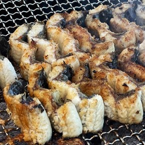 통영 자연산 바다장어 1kg 소스포함 크기선별