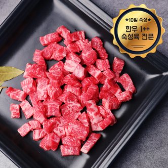 웰굿 [냉장][숙성육]1++(9)등급 숙성한우 치마양지 300g