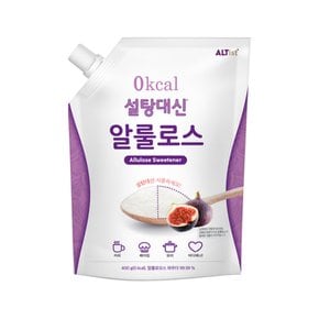 설탕대신 알룰로스 0kcal 나한과 대체당 400g, 1개
