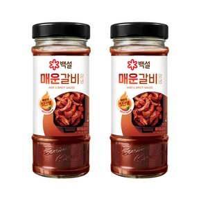 백설 매운 갈비양념 490g x2개