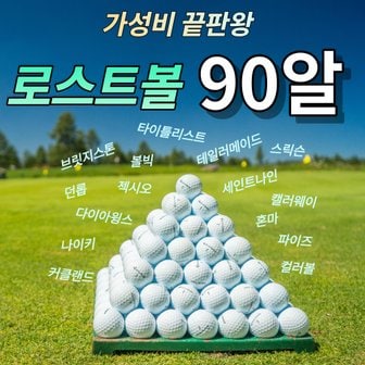  90알 골프 유명브랜드 2피스 3피스 컬러 연습용 세일 할인 추천 로스트 볼 공