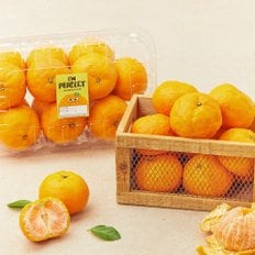  I`mperfect 당도선별 못난이 카라향 (2kg)