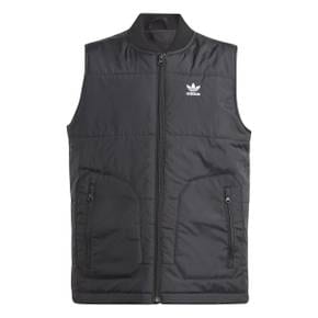 VEST (IJ0741)