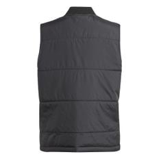 VEST (IJ0741)