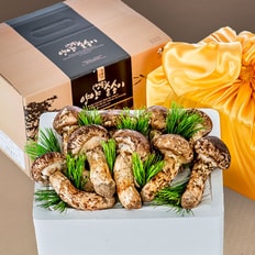 산해직송 국내산 자연송이(냉동) D급(4등품) 500g 선물세트 설 명절