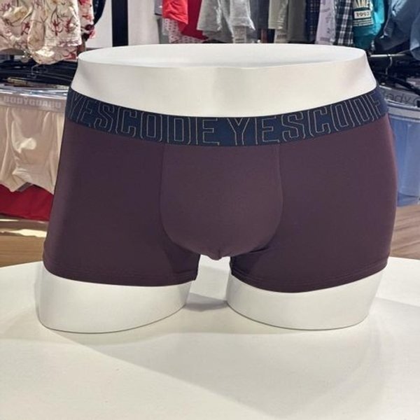 확대된 대표 image1