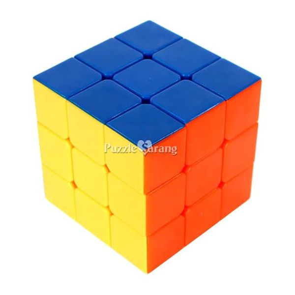 확대된 대표 image1
