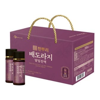  [24년선물세트]한뿌리 배도라지 병 100ml 10입*1박스