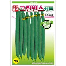 아시아종묘 씨앗 콩 그린빈스채두 10g 풋강낭콩
