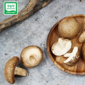 [무료배송] 예산청년농부의 국내산 무농약 생표고버섯 1kg (실속형)