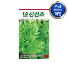 신선초 씨앗 10g . 야채 채소 텃밭 파종 재배 주말 농장 씨 종자