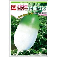아시아종묘 씨앗 무 아시아가을저장 12g