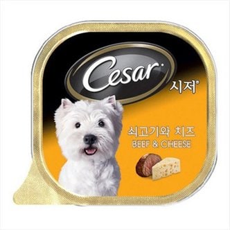 바보사랑 강아지간식 캔 시저 쇠고기와 치즈 100g 5개 강아지밥.피엠에스(무료배송)