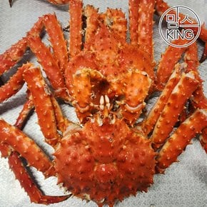 속초러브마린 북해도 레드 자숙 킹크랩 3kg(2마리)