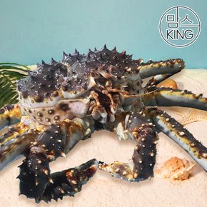 속초러브마린 북해도 레드 자숙 킹크랩 3kg(2마리)