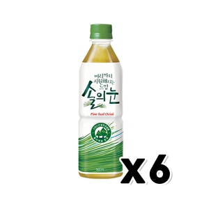 롯데칠성음료 솔의눈 페트음료 500ml x 6개