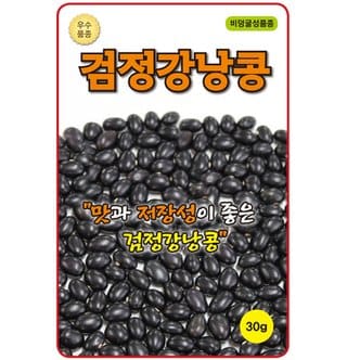 영농사 검정 강낭콩씨앗 30g
